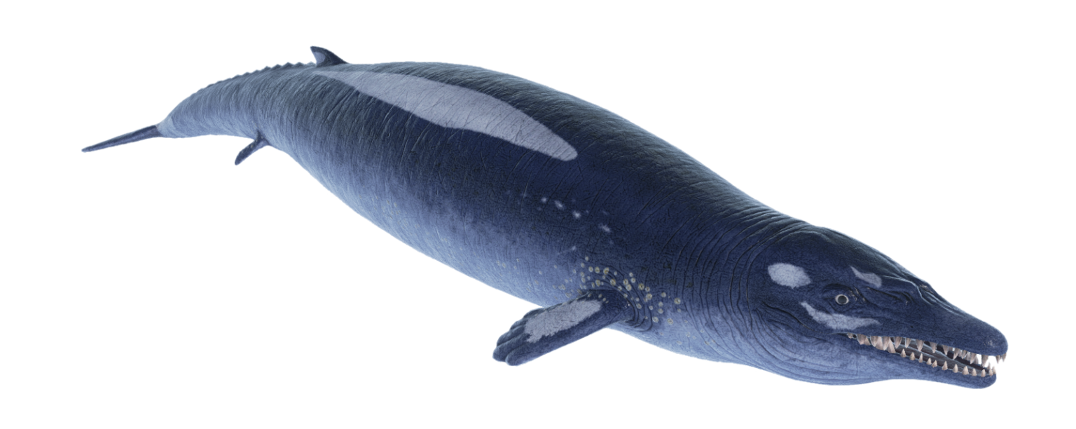 Atlas PvE Exclusive Creatures Infiniti Squadron